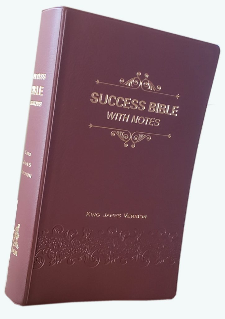 92  Authentic Success Book from Famous authors